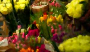 photo Ventes de Fleurs et Légumes à Repiquer