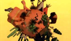photo Expositions et Animations : Nature et Biodiversité