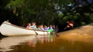 photo Balade guidée en canoë collectif sur la Leyre Départ Lamothe