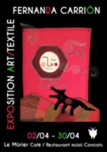 photo Exposition Art/Textile de Fernanda Carrion