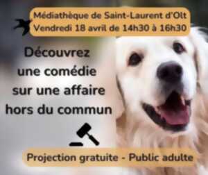 photo Projection d'une comédie à la médiathèque de St Laurent d'Olt