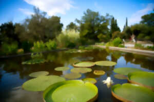 photo VISITE ARBORETUM ET SES SECRETS
