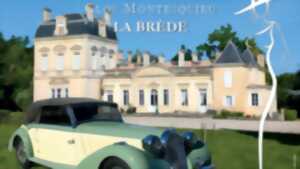 photo Concours Les Elégantes - rassemblement automobile