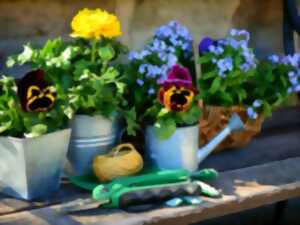 photo Marché aux Fleurs et plants de légumes