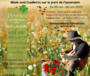 photo WEEK-END CUEILLETTE SUR LE PONT LE L'ASCENSION