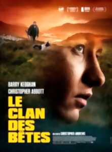 photo Cinéma : 