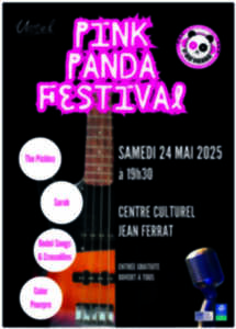 photo Pink Panda Festival