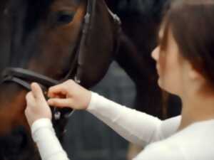 photo Concours complet d'équitation