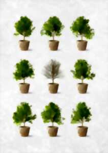 photo Foire aux plantes