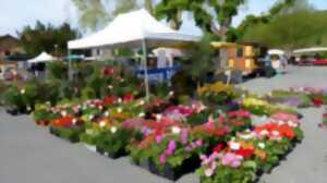 photo Fête des Fleurs et des plantes - 9ème édition