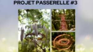 photo Projet Passerelle : 