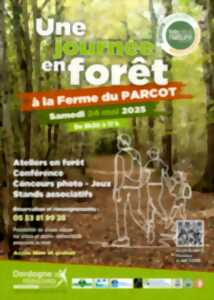 photo Fête de la nature : une journée en forêt