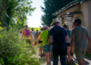 photo Promenade du Muguet