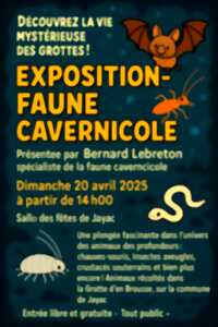 photo Exposition faune cavernicole à Jayac
