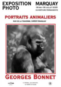 photo Exposition Georges Bonnet  : Portraits Animaliers