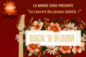 photo Concert Rock n'Bloom