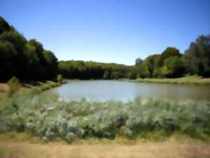 photo Balade sur le Domaine nature et de loisirs de Blasimon