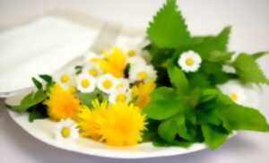 photo Les ateliers de la Ferme des Bleuets : Les plantes comestibles