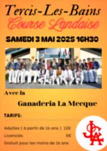 photo Course landaise