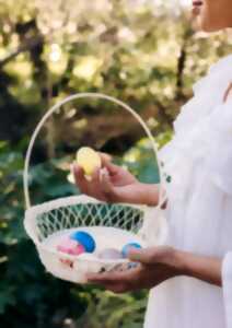 photo Chasse aux oeufs
