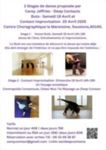 photo Stages de danse Butö et de contact improvisation