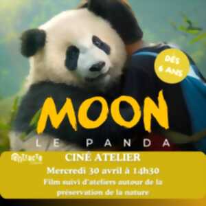 photo Ciné Atelier - 