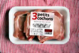 photo Théâtre Magnétic // « 3 Petits cochons »