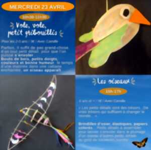 photo Vole, vole, petit gribouillis