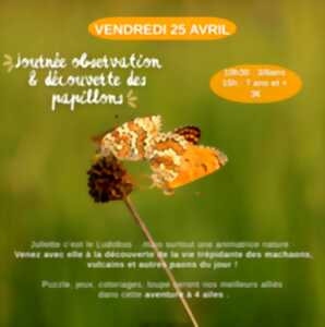 photo Journée observation et découverte des papillons