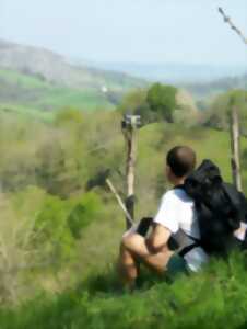 photo Marche