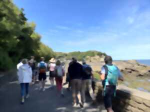 photo Visite guidée : L’histoire Maritime de Biarritz