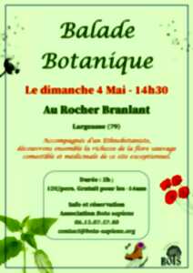 photo Balade botanique au Rocher Branlant