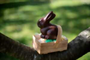 photo Chasse aux oeufs