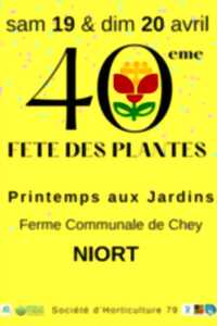 photo Fête des Plantes – Printemps aux Jardins – 2025 à Niort