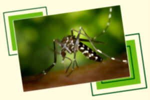 photo Exposition 
