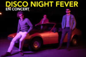 photo Concert disco night fever