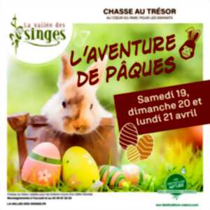 photo L'aventure de Pâques : Chasse au trésor à la Vallée des Singes