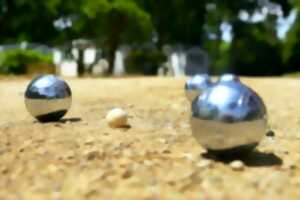 photo Journée loisirs détente avec concours de pétanque ouvert à tous et toutes