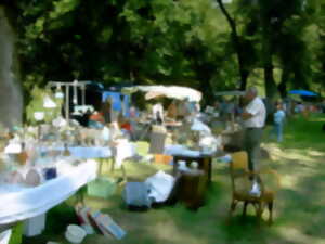 photo Vide-grenier et marché aux fleurs