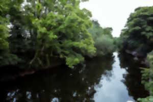 photo Visite du Moulin de Bram