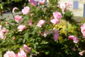 photo Fête Généreuse de la Rose