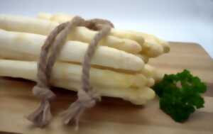 photo Fête de l'asperge
