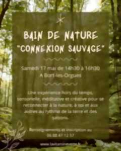 photo Bain de nature 