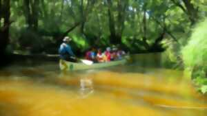 photo Descente de la Leyre en canoë collectif, le C10
