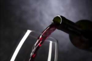 photo Salon des vins et des produits de pays Vinigast - Saint Gence