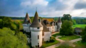 photo Soirée guinguette au Château de Bridoire