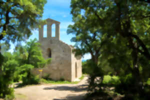 photo BALADE COMMENTEE NATURE -  RANDONNEE A LA CHAPELLE ST LAURENT DU MONT-