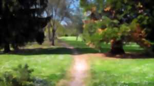 photo Balade contée dans le parc