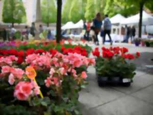 photo Marché aux fleurs