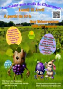 photo Chasse aux Oeufs de Champion